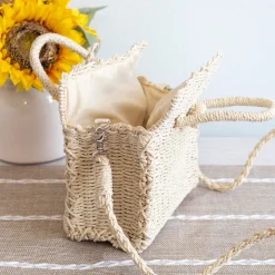 Elena Handbags Beach Straw Woven Box Crossbody Bag