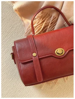 Elena Handbags Small Modern Crossbody Messenger Bag