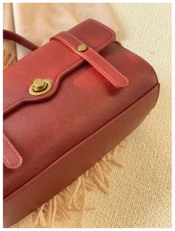 Elena Handbags Small Modern Crossbody Messenger Bag