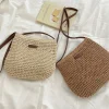 Elena Handbags Straw Woven Crossbody Bag