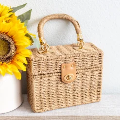 Elena Handbags Straw Woven Box Shoulder Bag